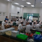 IMAG0235